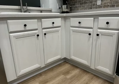 eps of tampa bay interior cabinet refinishing house project